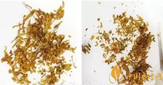 冬蟲(chóng)夏草（和潤(rùn)）真假鑒別，春節(jié)防止被騙